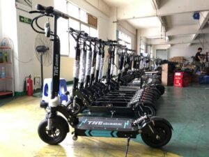 TROTTINETTE ÉLECTRONIQUE s13 (20 unités)